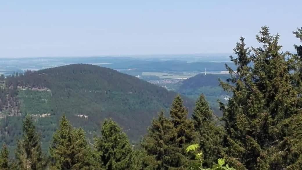 Harzlich Appartamento Altenau  Esterno foto